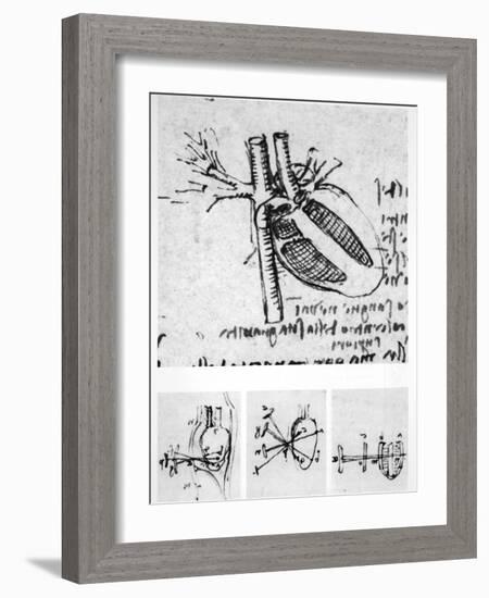 Heart Anatomy, 16th Century-Science Photo Library-Framed Photographic Print