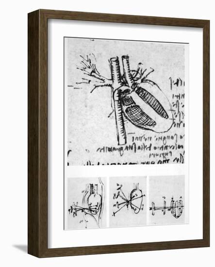 Heart Anatomy, 16th Century-Science Photo Library-Framed Photographic Print