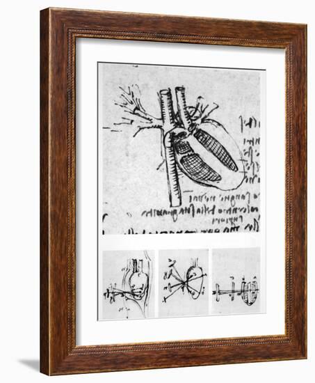 Heart Anatomy, 16th Century-Science Photo Library-Framed Photographic Print