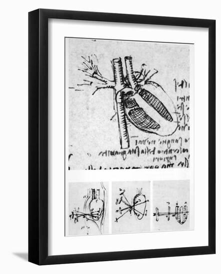 Heart Anatomy, 16th Century-Science Photo Library-Framed Photographic Print