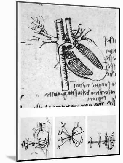 Heart Anatomy, 16th Century-Science Photo Library-Mounted Photographic Print