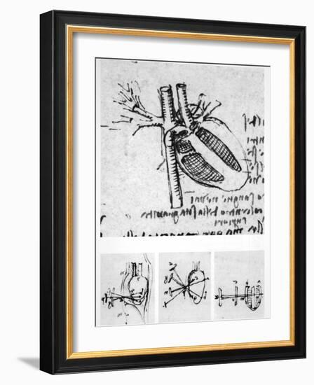 Heart Anatomy, 16th Century-Science Photo Library-Framed Photographic Print