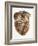 Heart Anatomy, 19th Century Illustration-Science Photo Library-Framed Photographic Print