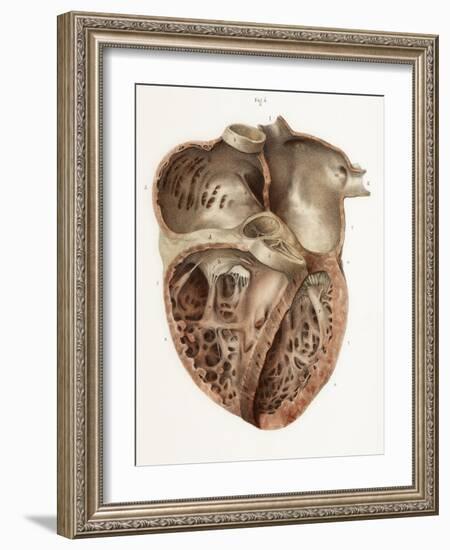 Heart Anatomy, 19th Century Illustration-Science Photo Library-Framed Photographic Print