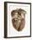 Heart Anatomy, 19th Century Illustration-Science Photo Library-Framed Photographic Print