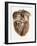 Heart Anatomy, 19th Century Illustration-Science Photo Library-Framed Photographic Print