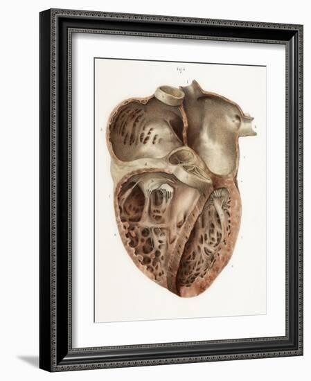 Heart Anatomy, 19th Century Illustration-Science Photo Library-Framed Photographic Print