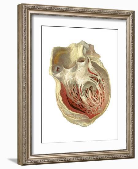 Heart Anatomy, Artwork-Mehau Kulyk-Framed Photographic Print