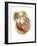 Heart Anatomy, Artwork-Mehau Kulyk-Framed Photographic Print