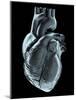 Heart, Artwork-Laguna Design-Mounted Photographic Print