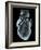 Heart, Artwork-Laguna Design-Framed Photographic Print