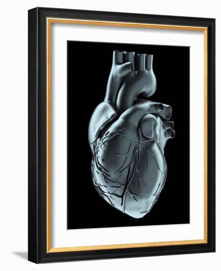 Heart, Artwork-Laguna Design-Framed Photographic Print