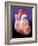 Heart, Artwork-John Bavosi-Framed Photographic Print