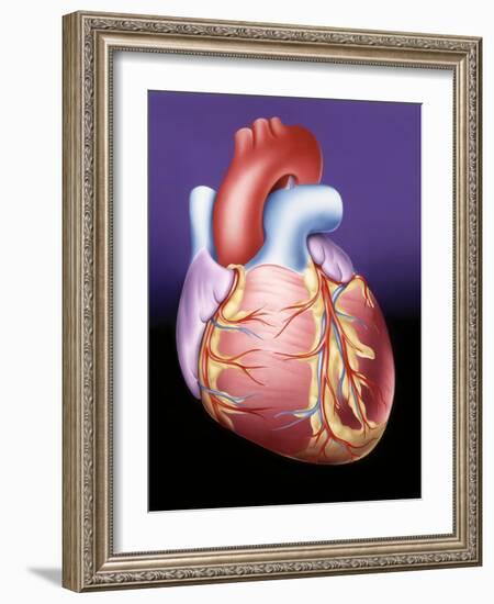 Heart, Artwork-John Bavosi-Framed Photographic Print
