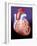 Heart, Artwork-John Bavosi-Framed Photographic Print