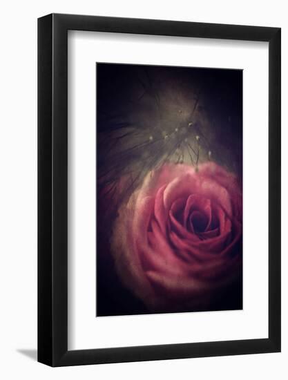Heart Away-Philippe Sainte-Laudy-Framed Photographic Print