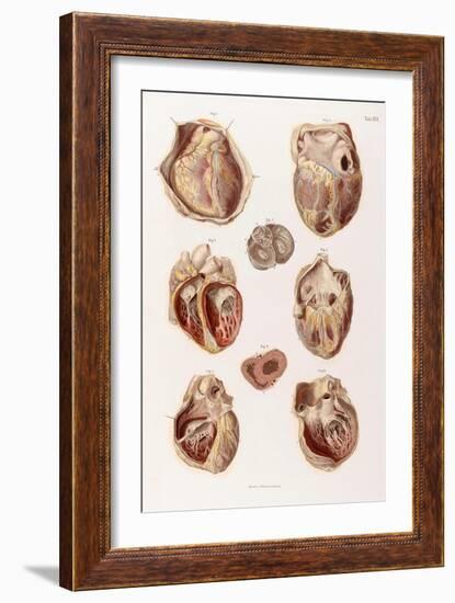 Heart, Cavities and Valves, Illustration, 1878-Science Source-Framed Giclee Print