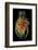 Heart, Computer Artwork-PASIEKA-Framed Photographic Print