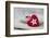 Heart cushions with star of Bethlehem as a token of love, still life-Andrea Haase-Framed Photographic Print