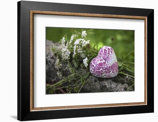 Heart, Flowers, Wild Chervil, Green-Andrea Haase-Framed Photographic Print