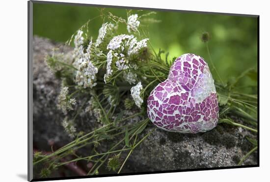 Heart, Flowers, Wild Chervil, Green-Andrea Haase-Mounted Photographic Print