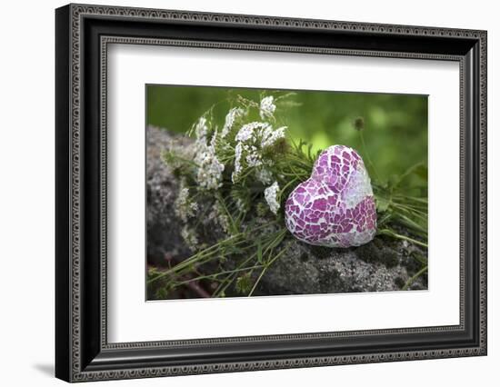 Heart, Flowers, Wild Chervil, Green-Andrea Haase-Framed Photographic Print