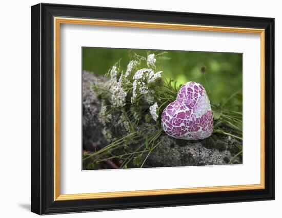 Heart, Flowers, Wild Chervil, Green-Andrea Haase-Framed Photographic Print