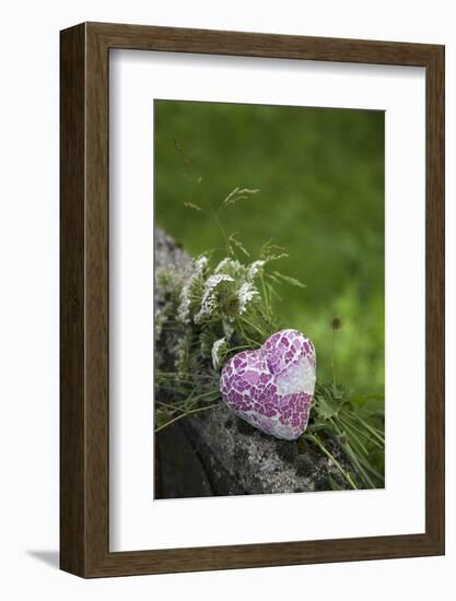 Heart, Flowers, Wild Flowers, Green-Andrea Haase-Framed Photographic Print