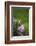 Heart, Flowers, Wild Flowers, Green-Andrea Haase-Framed Photographic Print