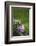 Heart, Flowers, Wild Flowers, Green-Andrea Haase-Framed Photographic Print