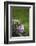 Heart, Flowers, Wild Flowers, Green-Andrea Haase-Framed Photographic Print