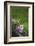 Heart, Flowers, Wild Flowers, Green-Andrea Haase-Framed Photographic Print