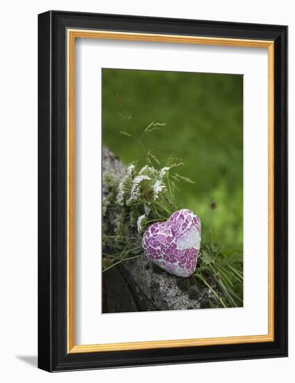 Heart, Flowers, Wild Flowers, Green-Andrea Haase-Framed Photographic Print