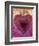 Heart III-Natasha Wescoat-Framed Giclee Print