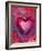 Heart IIII-Natasha Wescoat-Framed Giclee Print