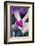 Heart in Child's Hand, Pink, Felt-Andrea Haase-Framed Photographic Print