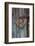 Heart Made of Driftwood, Wood, Door-Andrea Haase-Framed Photographic Print