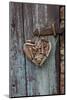 Heart Made of Driftwood, Wood, Door-Andrea Haase-Mounted Photographic Print