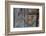 Heart Made of Driftwood, Wood, Door-Andrea Haase-Framed Photographic Print