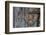 Heart Made of Driftwood, Wood, Door-Andrea Haase-Framed Photographic Print