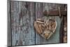 Heart Made of Driftwood, Wood, Door-Andrea Haase-Mounted Photographic Print