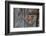 Heart Made of Driftwood, Wood, Door-Andrea Haase-Framed Photographic Print