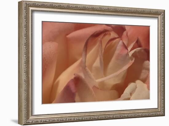 Heart of a Rose II-Rita Crane-Framed Photographic Print