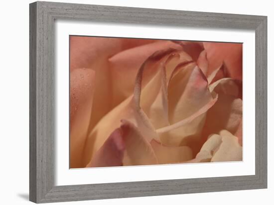 Heart of a Rose II-Rita Crane-Framed Photographic Print