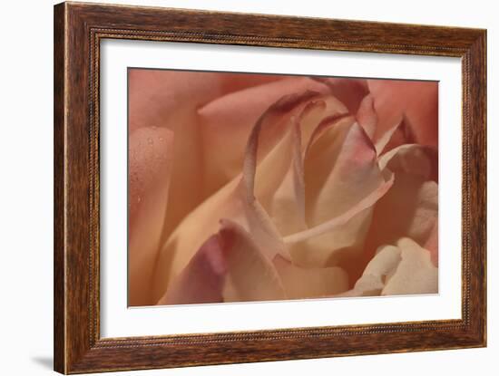 Heart of a Rose II-Rita Crane-Framed Photographic Print