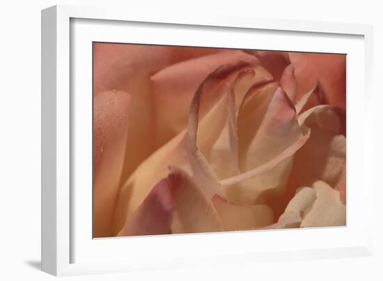 Heart of a Rose II-Rita Crane-Framed Photographic Print