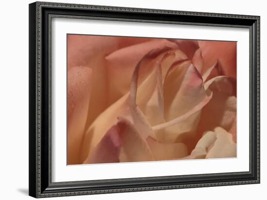 Heart of a Rose II-Rita Crane-Framed Photographic Print