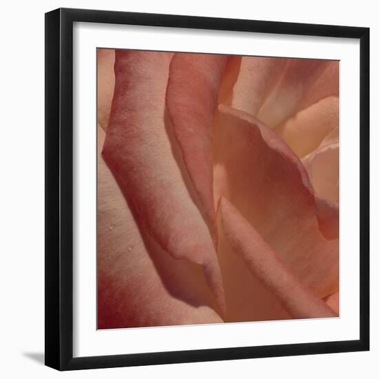 Heart of a Rose III-Rita Crane-Framed Photographic Print