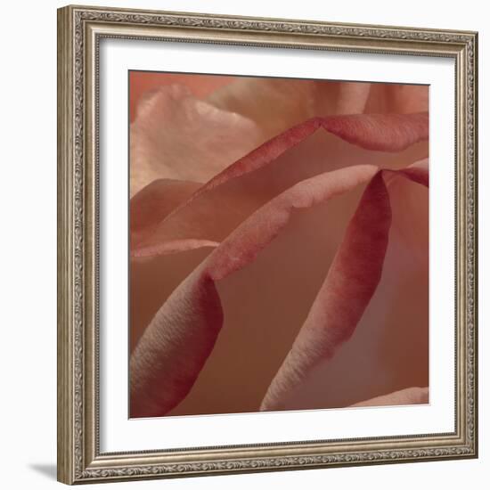 Heart of a Rose IV-Rita Crane-Framed Photographic Print