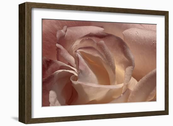 Heart of a Rose IX-Rita Crane-Framed Photographic Print